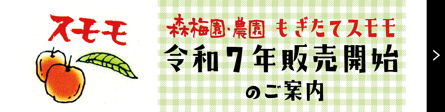 【令和７年スモモ販売について】